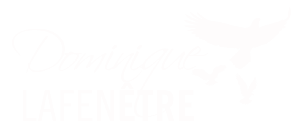 Logo Dominique Lafenetre